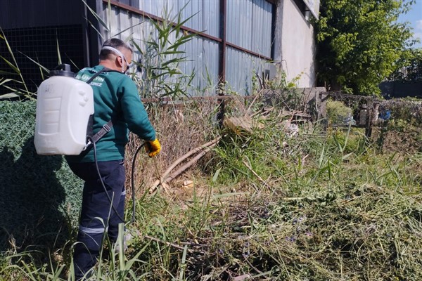 Bursa'da haşerelerle mücadele çalışmaları sürüyor