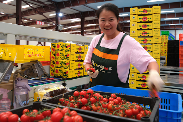Çin'de özel gıda üretim bölgelerinin sayısı 450'yi aştı<