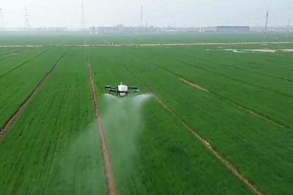 Çin’in tarım ve kırsal ekonomisi yılın ilk çeyreğine güçlü başladı<