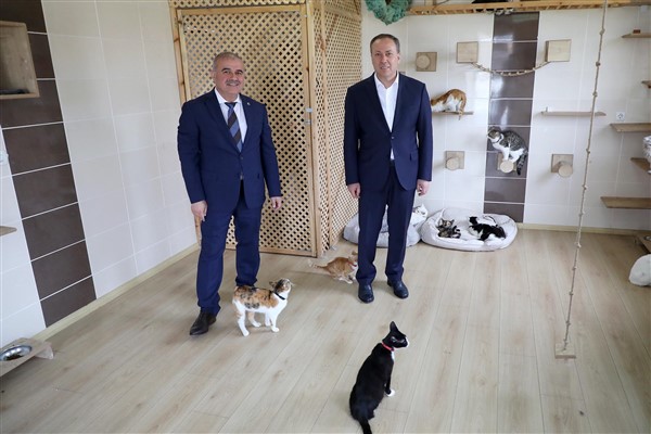 Milletvekili Kaya, Sokak Hayvanları Rehabilitasyon Merkezi’ni ziyaret etti