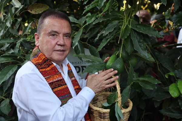 Başkan Böcek’ten avokado ve mango hasadı <