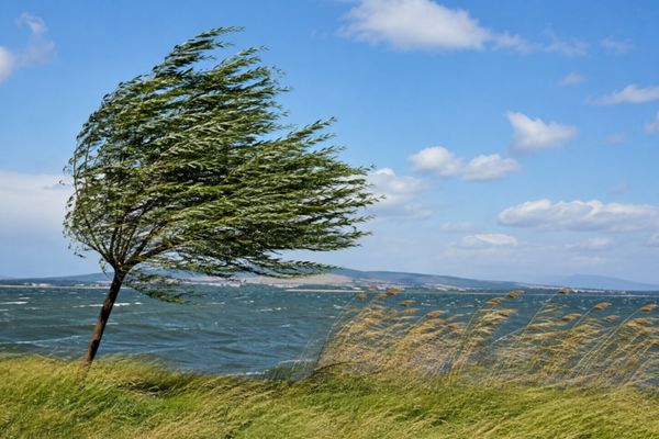 Meteoroloji’den kuvvetli rüzgar uyarısı: Hızı 60 kilometreye ulaşacak<