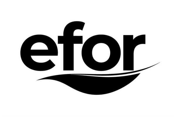 Efor Holding, yabancı yatırımcıdan EFOR payını satın alacak<
