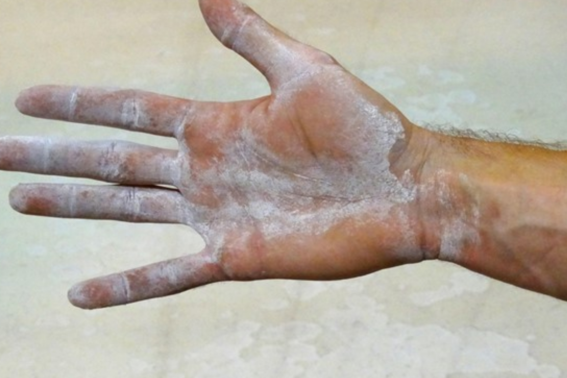 Aerobik Cimnastik Milli Takımı kampı İstanbul’da başladı<