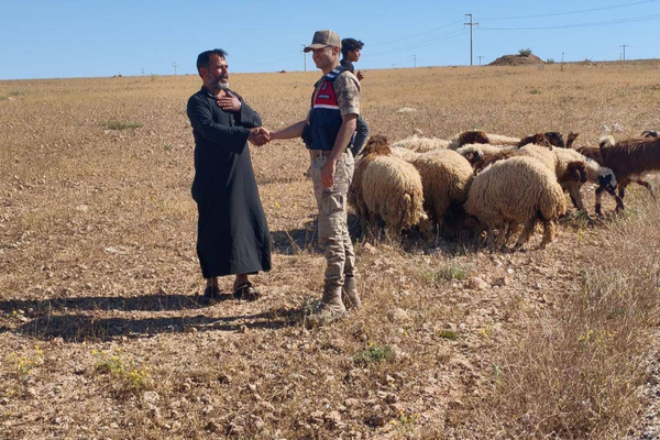Şanlıurfa’da kayıp 17 küçükbaş hayvan bulundu<