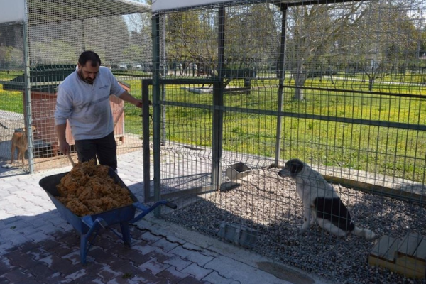 Konyaaltı'nda sokak hayvanları için proje<