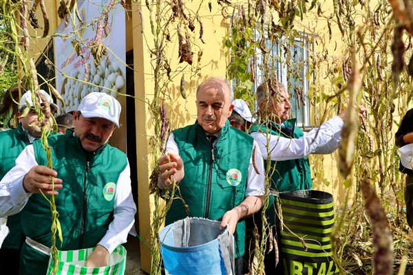 Vali Erol, Akkuş'ta Şeker Fasulyesi Hasat Töreni'ne katıldı