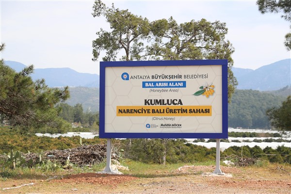 Antalya'da narenciye bahçelerine uyarı tabelaları yerleştiriliyor<