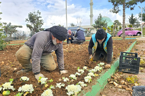 Eyyübiye’de yeşil alanlar bahara hazırlanıyor<