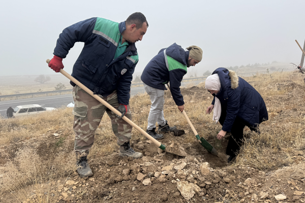 Büyükşehir, ağaçlandırma çalışmalarına Yahyalı'da devam etti<