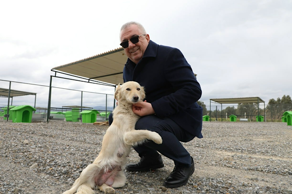 Ertaş: Sokak hayvanlarının yaşam hakkını korumak en temel sorumluluklarımızdan biri <