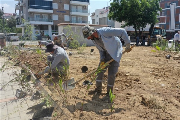Gazipaşa Belediyesi'nden yeşillendirme çalışmaları