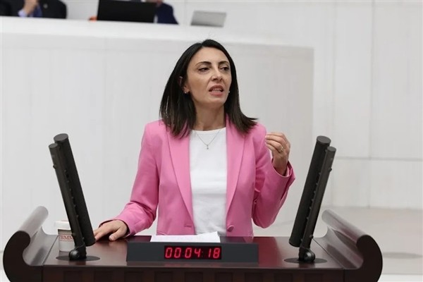 Kayışoğlu: İnsan hakları ihlalleri artıyor ancak denetim mekanizmaları işlevsiz halde<