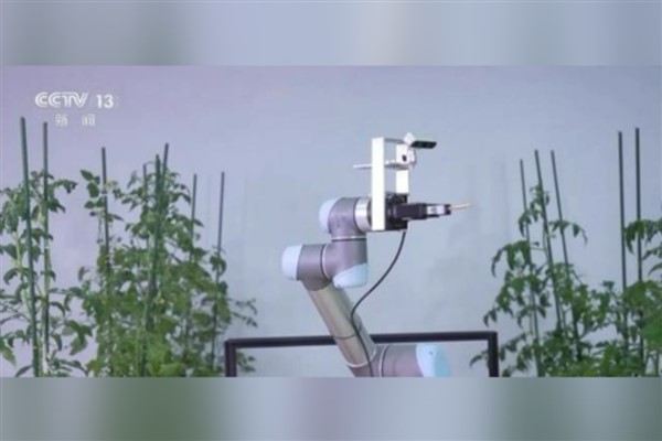 Çin, “Geair” adlı polinasyon robotunu tanıttı<