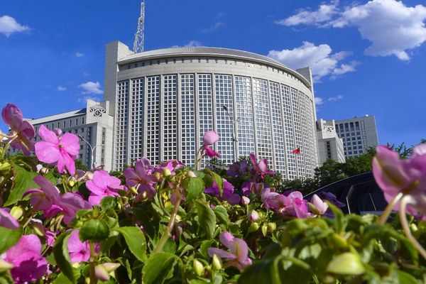 Çin: Daha fazla yabancı dostun Çin'in cazibesini deneyimlemesini bekliyoruz<