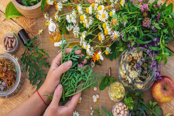 İstanbul’da 40 kadın tıbbi ve aromatik bitki yetiştiriciliği eğitimi aldı