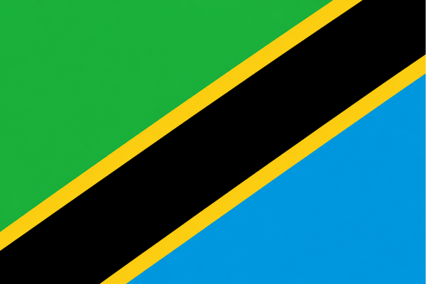 Tanzanya, Africa50 Genel Kurulu ve Afrika Altyapı Forumu'na ev sahipliği yapacak<