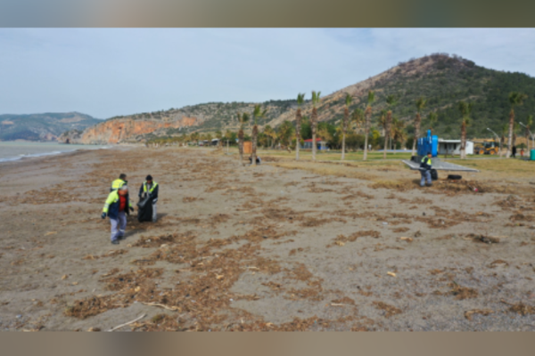 Gazipaşa'da yağışların ardından sahillerde temizlik çalışması başlatıldı<