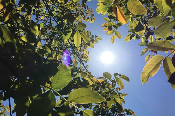 Hava sıcaklıkları mevsim normalleri üzerinde seyretmeye devam edecek<