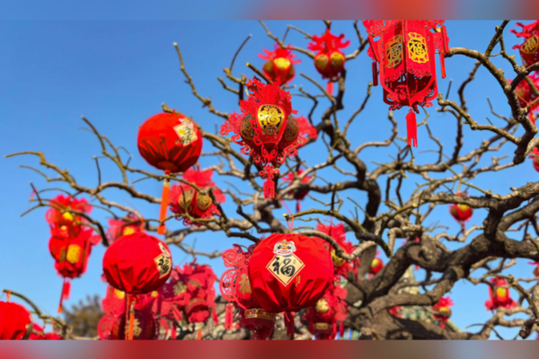 Xi Jinping’den Iowa’daki dostlarına Bahar Bayramı mesajı<