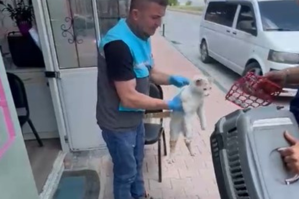 Kayseri'de havalandırma boşluğunda mahsur kalan kediye kurtarma operasyonu