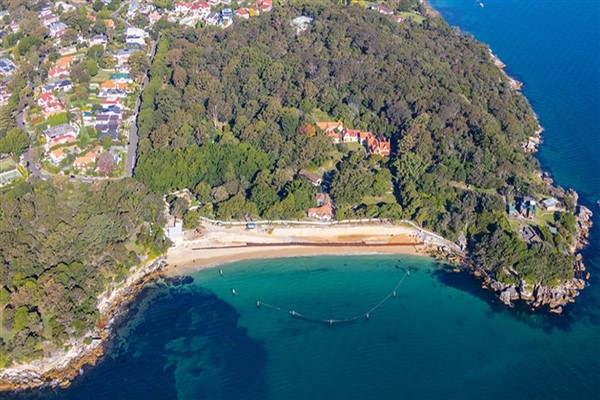 Sydney'de meydana gelen köpekbalığı saldırısında bir çocuk hayati tehlike altında<