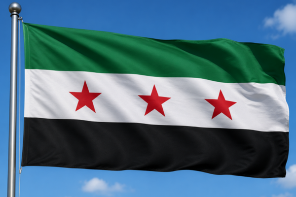 Suriye Dışişleri Bakanı Şeybani, İrlanda'nın Şam O'Hara ile görüştü<