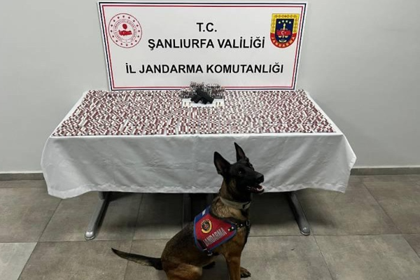 Şanlıurfa’da uyuşturucu operasyonu