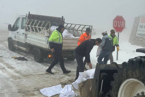 Yayladağı’nda buzlanmaya karşı mücadele 