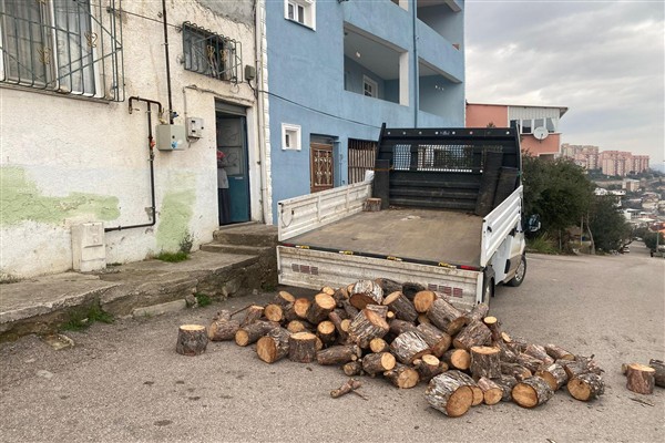 Orhangazi'de budama çalışmalarından elde edilen ağaç dalları vatandaşlara veriliyor<