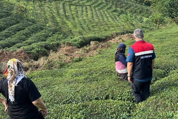 Rize’de tarım alanlarında hasar tespit çalışmaları sürüyor<