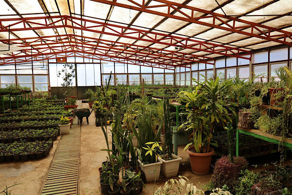 Marmaris'te seralar üretimle 23 milyon TL tasarruf sağladı<