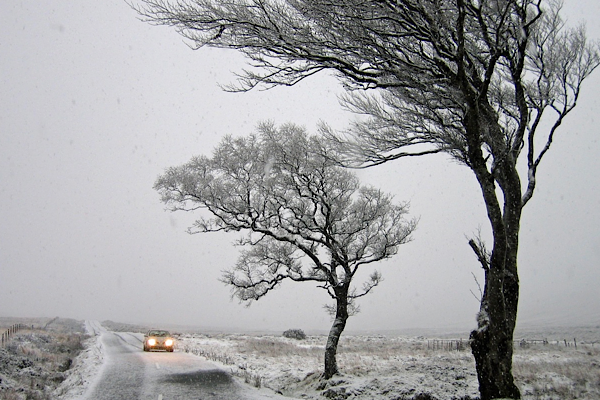 MGM’den kuvvetli Yağış, rüzgar ve çığ uyarısı<