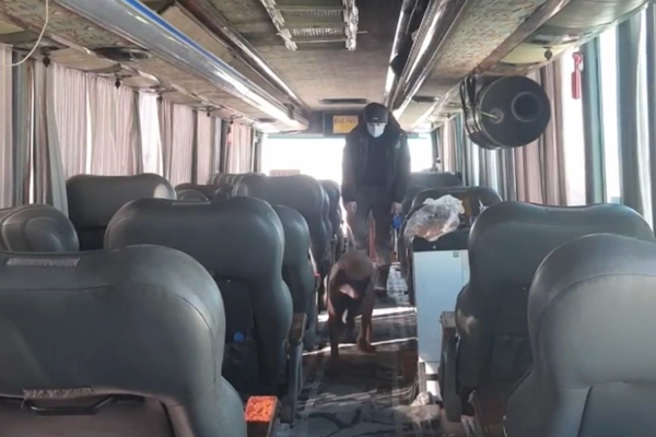 Ağrı'da narkotik operasyonu 