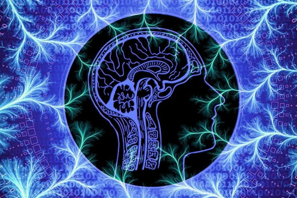 Araştırma: Erkeklerin cinsel isteği, inanışın aksine 40 yaşında zirveye ulaşıyor<