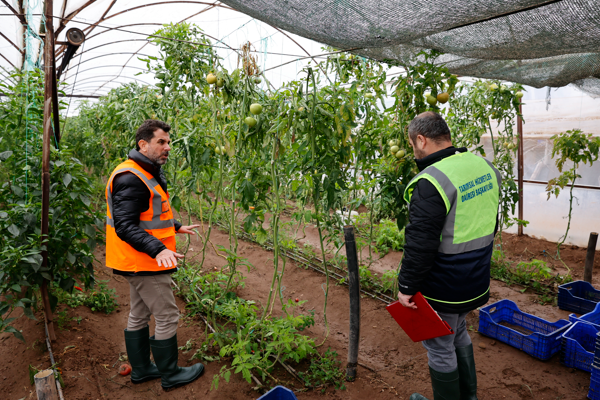Antalya'da hasar tespit çalışmalarına başlandı<
