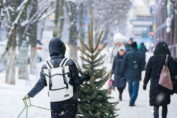 Tunceli’de kar yağışı nedeniyle okullara 1 günlük tatil<