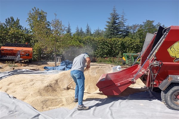 Büyükşehir’den yemlik tahıl karışımı ve balya desteği