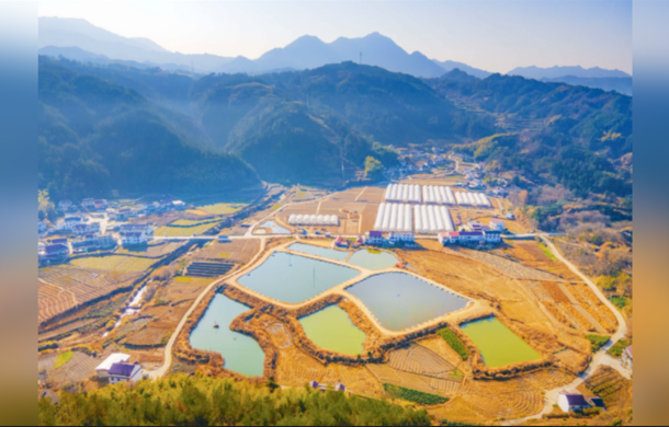 CMG, 2025 yılının kırsal kalkınmaya ilişkin en önemli 10 haberini seçti<