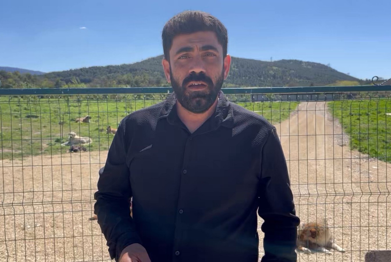 Hayvan hakları aktivisti Kaya: Hayvanların yaşam hakkı, fiilen de korunmalıdır<