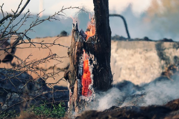 Bugün toplam 46 yangına müdahale edildi