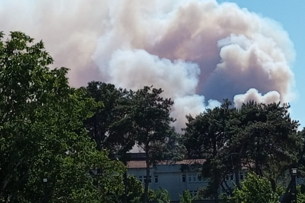 İzmir, Gaziantep, Bilecik ve Bolu yangınları kontrol altına alındı