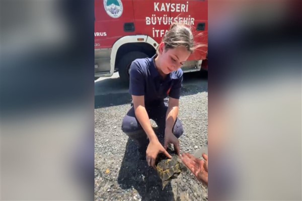 Kayseri İtfaiyesi, yangında mahsur kalan kaplumbağayı kurtardı<