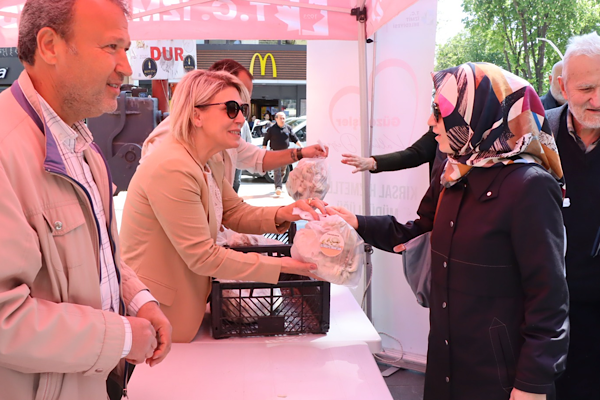 İzmit'te vatandaşa ücretsiz istiridye mantarı<