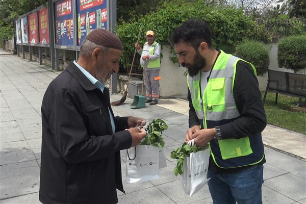 Malatya'da vatandaşlara sebze fidesi dağıtıldı 