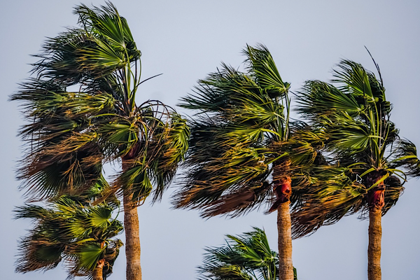 Konya, Karaman ve Niğde için kuvvetli fırtına uyarısı<