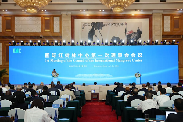 Uluslararası Mangrov Merkezi Shenzhen’de faaliyete geçti<