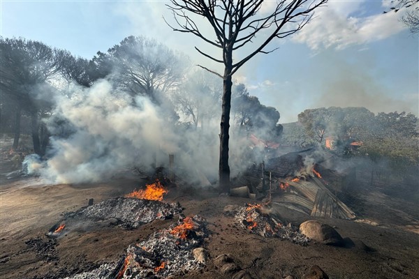 İzmir İtfaiyesi, Bergama’da alevlerle mücadele ediyor<