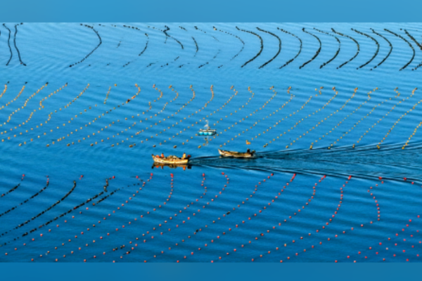 15. Beş Yıllık Plan’da deniz ekonomisini geliştirme vurgusu<