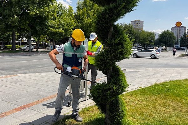 Kayseri’de yeşil alanlarda bakım ve budama çalışmaları sürüyor<